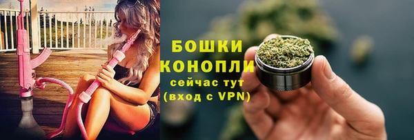 амф Ельня