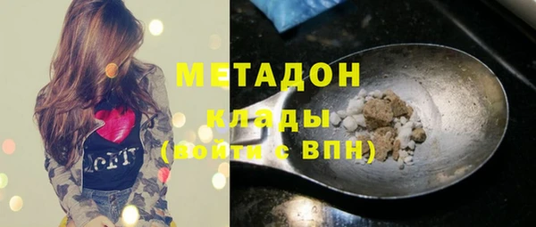 амф Ельня