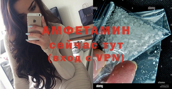 амф Ельня
