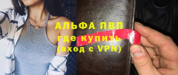 амф Ельня