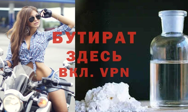 амф Ельня